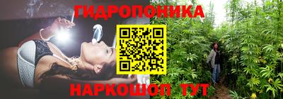 амф Дубна