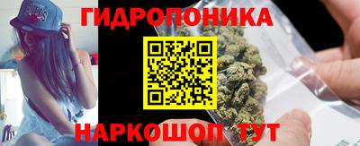 амф Дубна