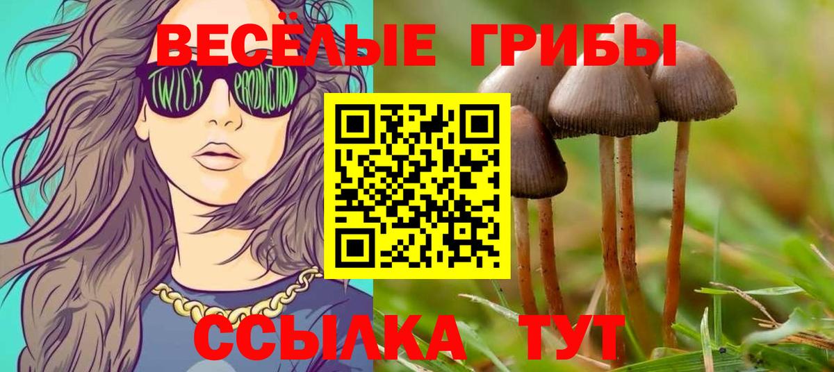 Королёв  Гашиш  COCAIN  Вход с VPN  Марихуана  Меф кристаллы  A PVP СК кристаллы  NBOMe 